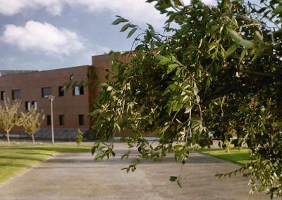 residencia_ancianos_trespaderne