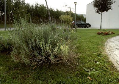 residencia_ancianos_trespaderne
